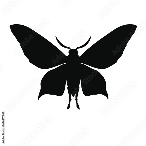 Black-Witch-Moth-Symbol