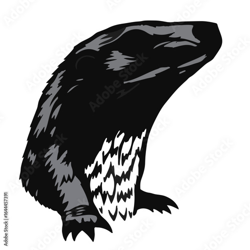 Black-Throated Monitor