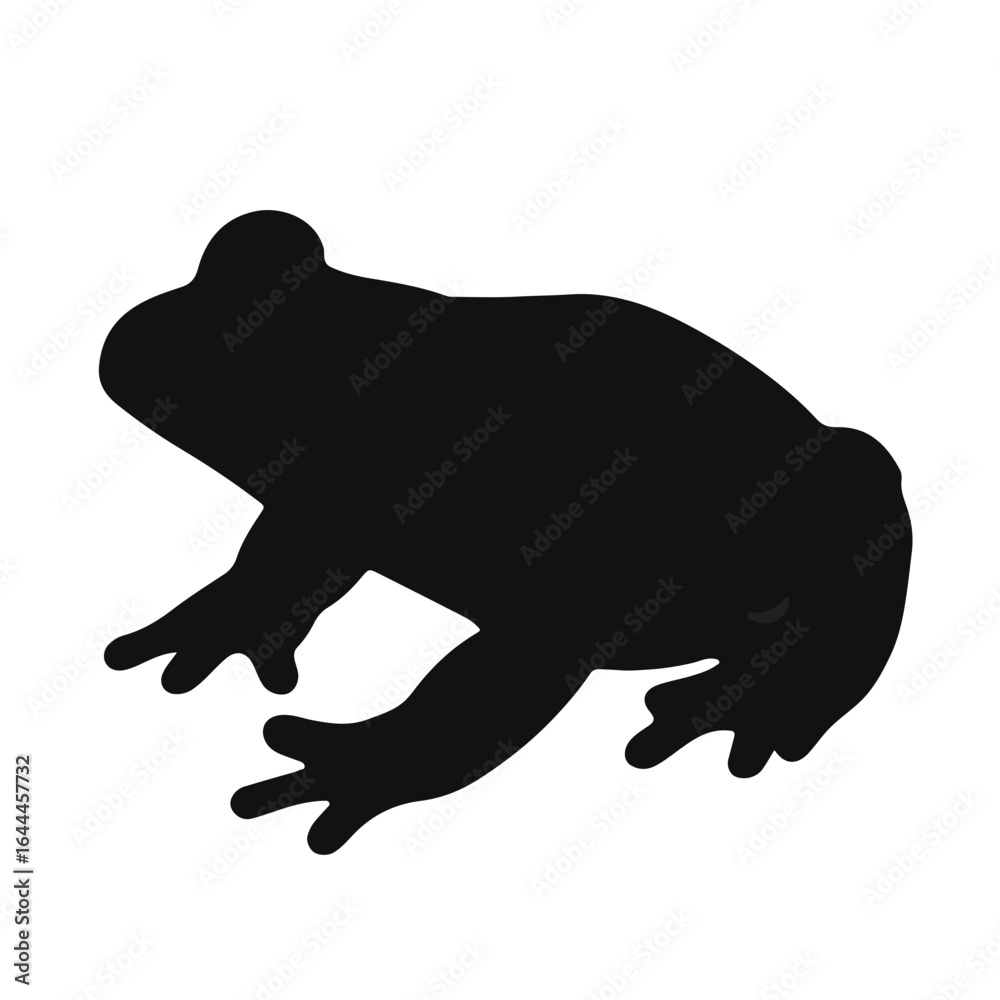 Fototapeta premium Black Bullfrog Illustration