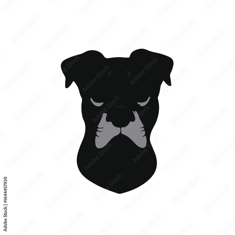 Fototapeta premium Black Boxing Mixed Animal