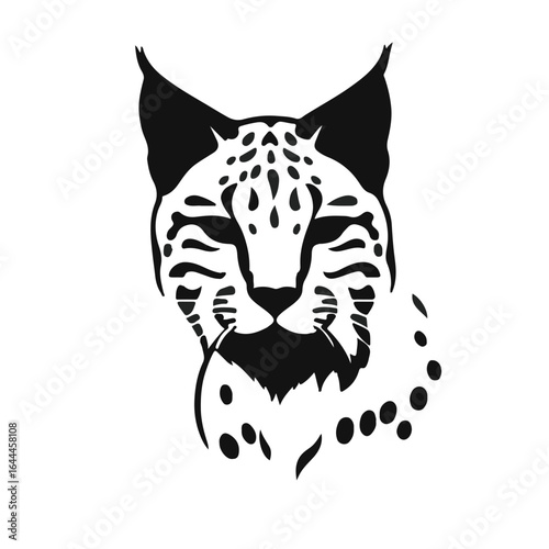 Black Bobcat Animal