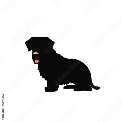 Black Bloodhound