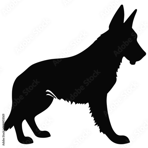 Black Bloodhound Animal