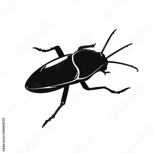Cuban Cockroach Illustration