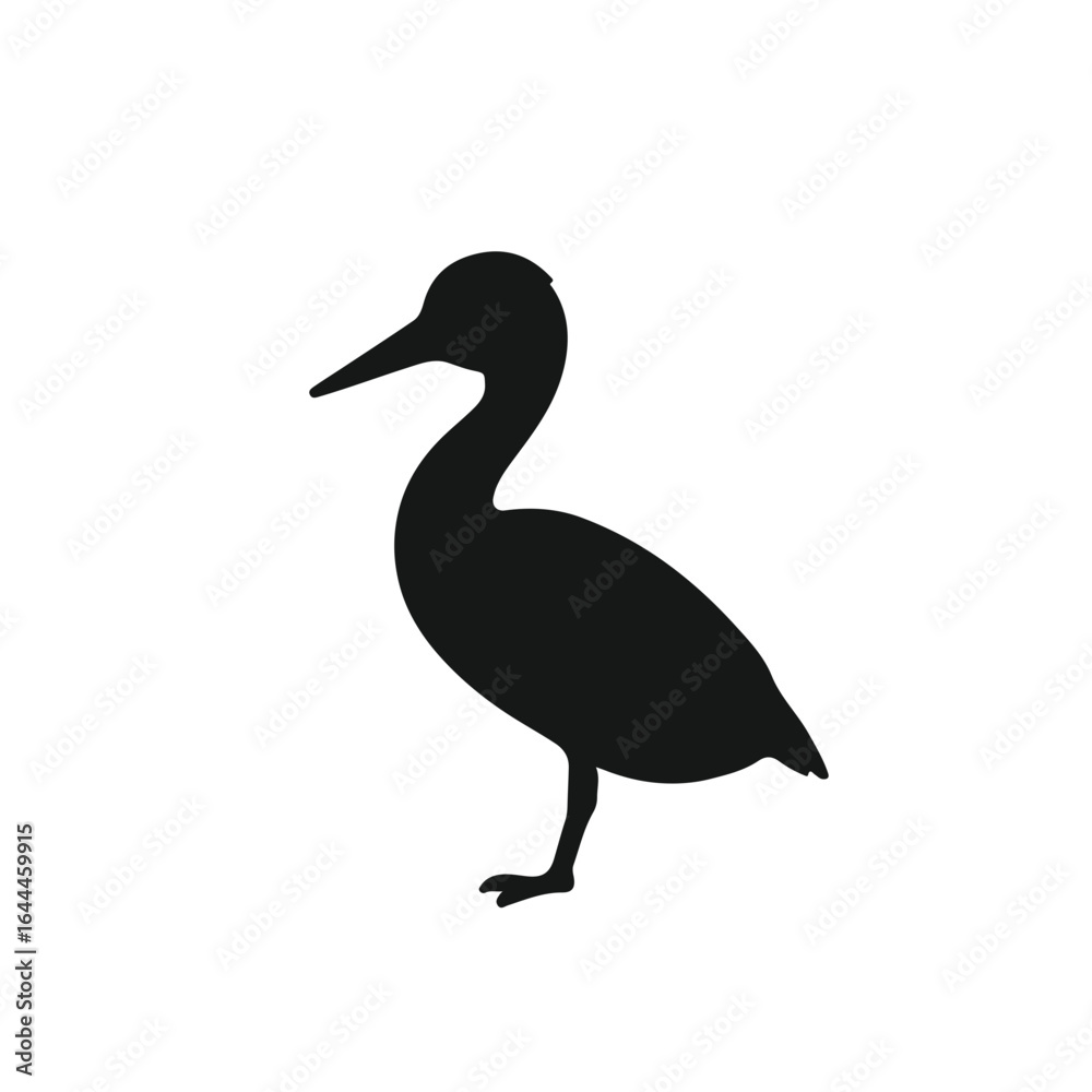 Fototapeta premium Clark's Grebe Waterfowl