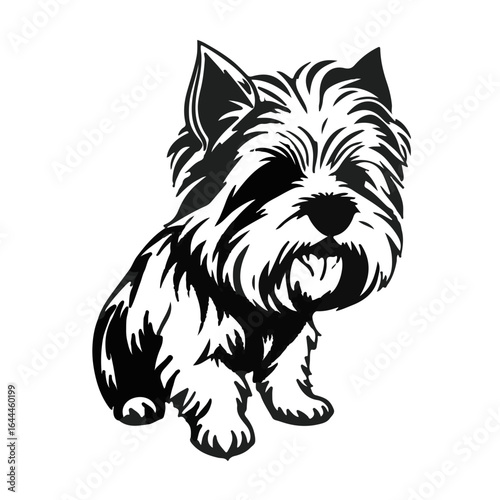 Chinese Crested Dog