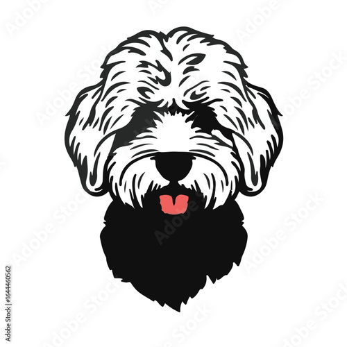 Black Cockapoo Portrait