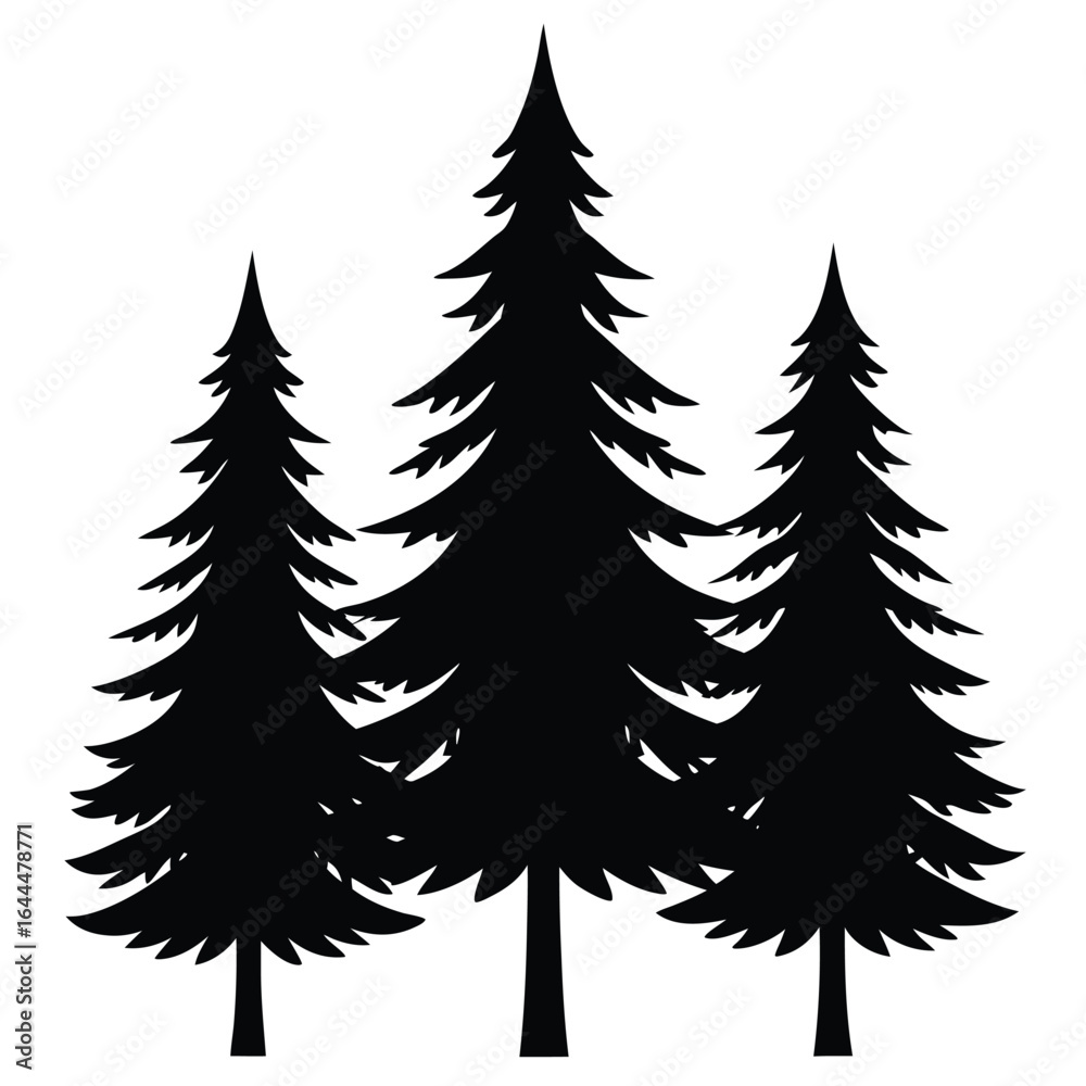 Obraz premium Black pine trees silhouette evergreen forest