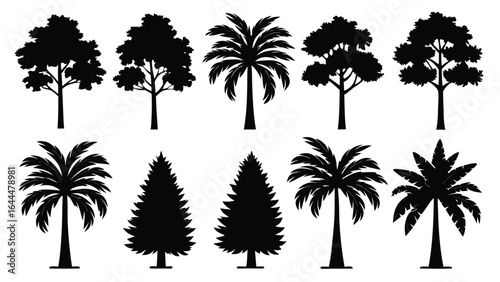 Diverse tree silhouettes including palms and conifers