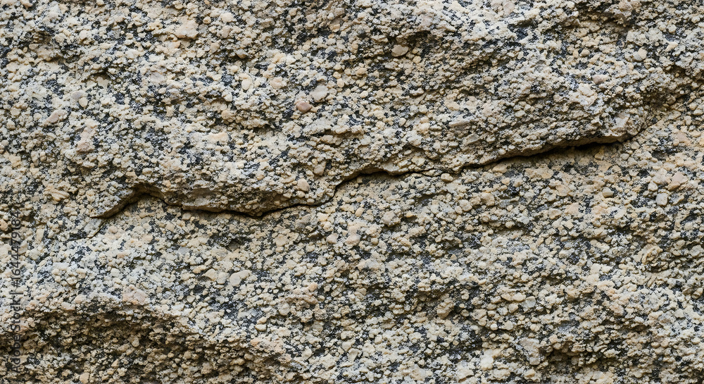 Fototapeta premium Closeup textured surface of speckled granite rock with a prominent crack.