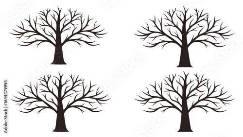 Bare trees branching out bare branches silhouette