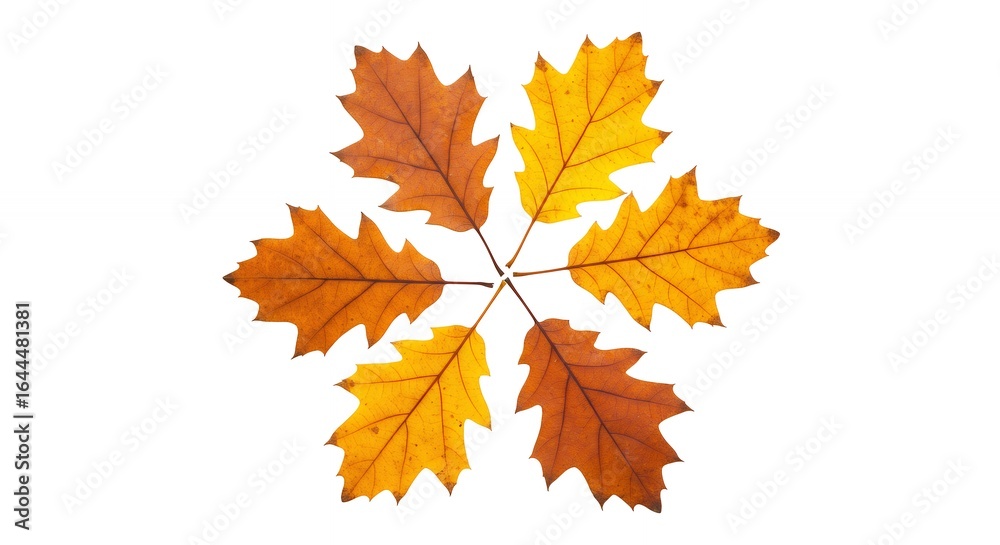 Symmetrical autumn leaves pattern Symmetrical autumn leaves pattern
