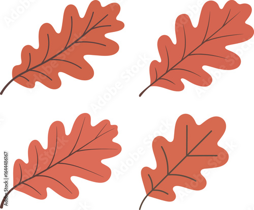 Four autumnal oak leaves with visible vein patterns are displayed against white backdrop