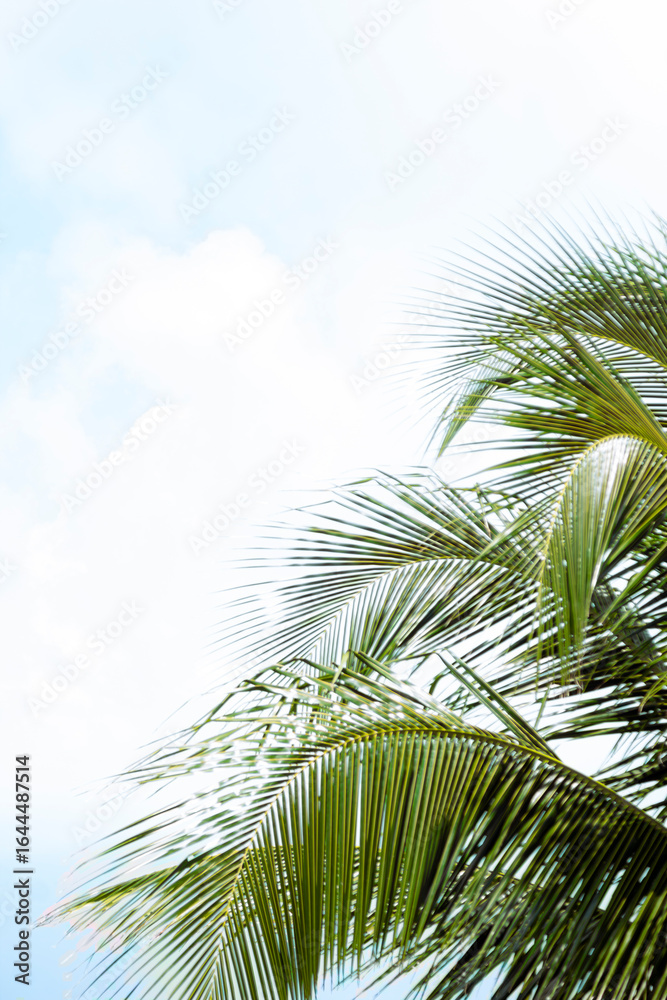 Fototapeta premium El calor del mar