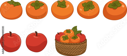 Autumn Seasonal Fruits or Chuseok Holiday Fruits Vector Illustration Collection, persimmon, apple.