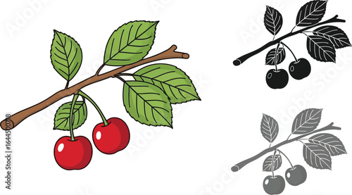 Illustration of a cherry branch with red cherries and green leaves shown thrice