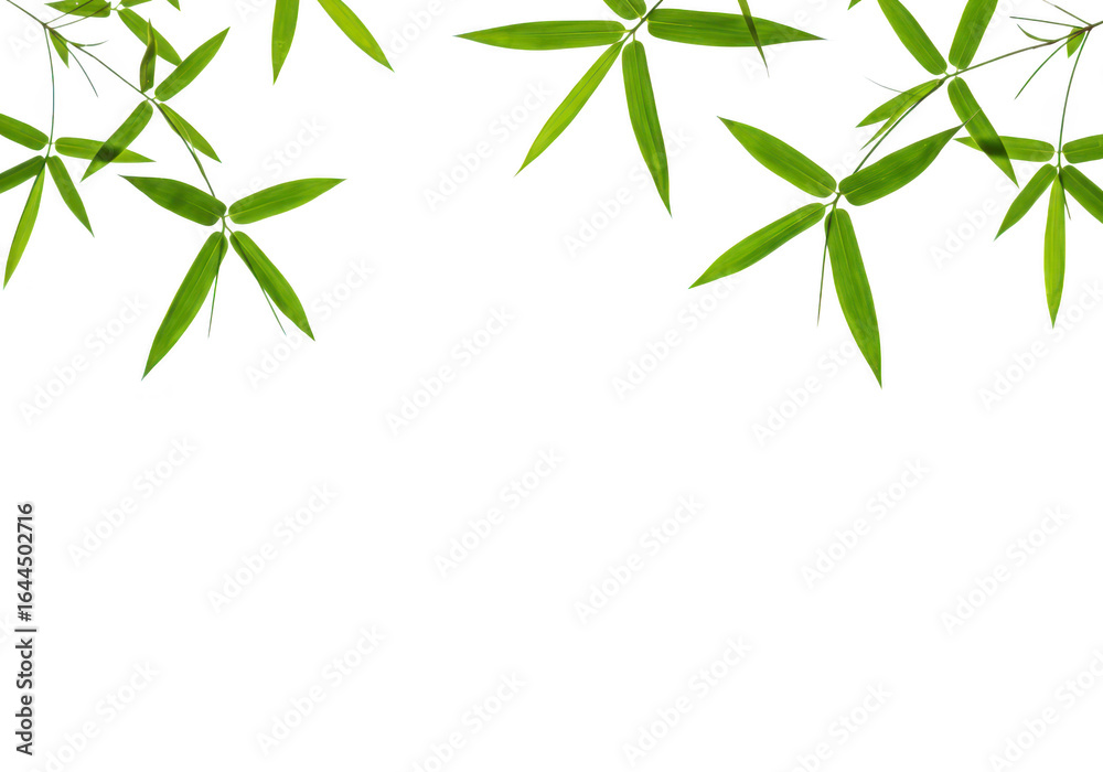 Fototapeta premium Green bamboo leaves border isolated on transparent background