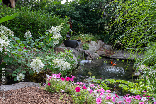 Koi pond with waterfall feature and summer sun loving plants and flowers