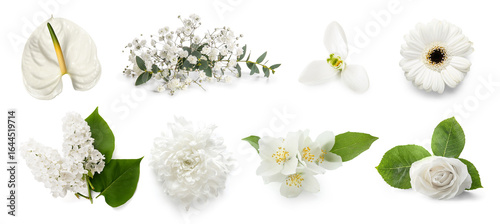 Collection of fresh flowers...