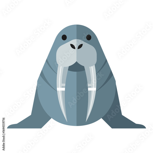 Illustration of a walrus with long tusks and flippers on a white background.