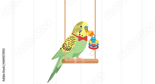 Adorable budgie perched on a swing, playfully holding a colorful toy in its beak in white background