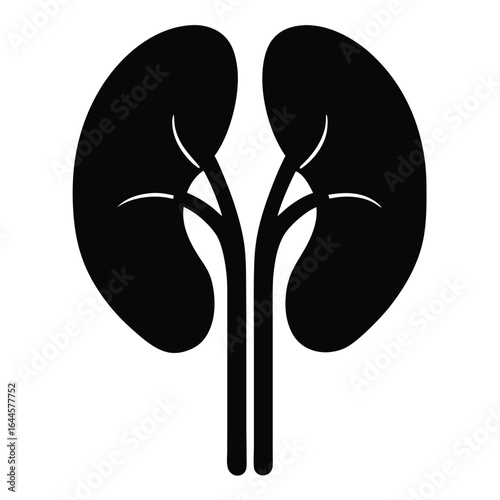 Black Kidney Silhouette human organ anatomy