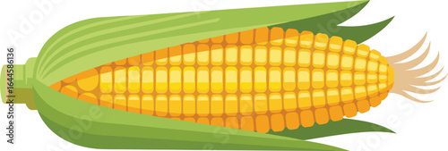 Fresh Yellow Corn Cob with Green Leaves