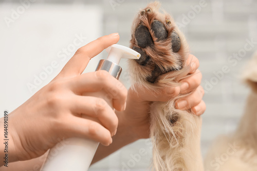 Owner applying cream onto d...