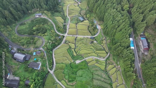 四谷千枚田の早朝の景色