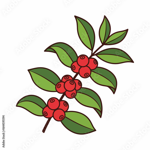 Vibrant coffee branch with ripe red berries and green leaves, celebrating organic harvest and natural refreshment.