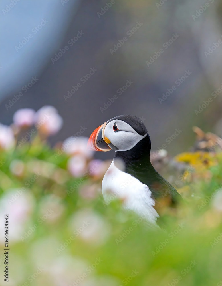 Fototapeta premium A puffin perches amidst vibrant green foliage and soft pink blossoms, its colorful beak and eye clearly visible
