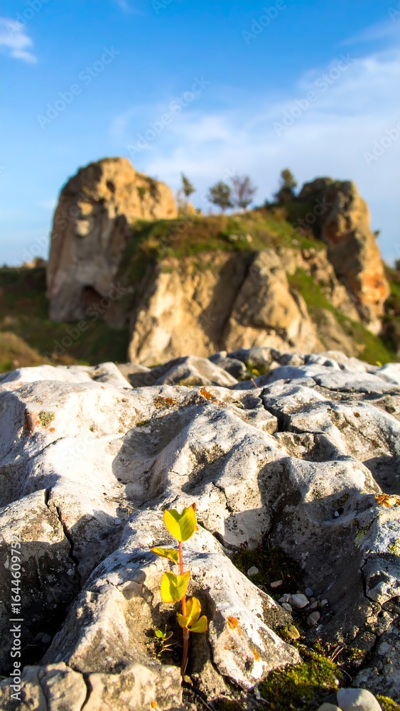 Naklejka premium A small plant sprouts from cracked, light-colored rocks in the foreground, with large, textured rock formations and a clear blue sky in the background