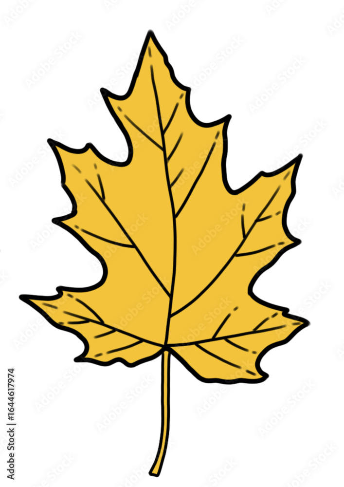 Obraz premium yellow maple leaf