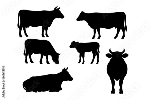 Cow silhouette collection. Set of black vector graphics of cows in various poses. Ideal for farm, dairy, and beef industry design elements. Livestock and agriculture icon.