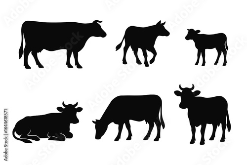 Cow silhouette set. Various cow poses in black graphic vector illustration. Ideal for farm, dairy, and beef industry branding. Cattle and livestock icons for butcher shop.