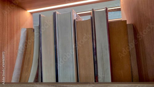 Eye-level view of books neatly arranged on a library rack, showcasing spines, titles, and textures.