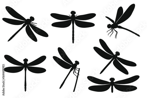 Dragonfly silhouettes set. Striking insect vector illustration collection. Black dragonflies in various poses, flying and resting. Nature graphic design element icons.
