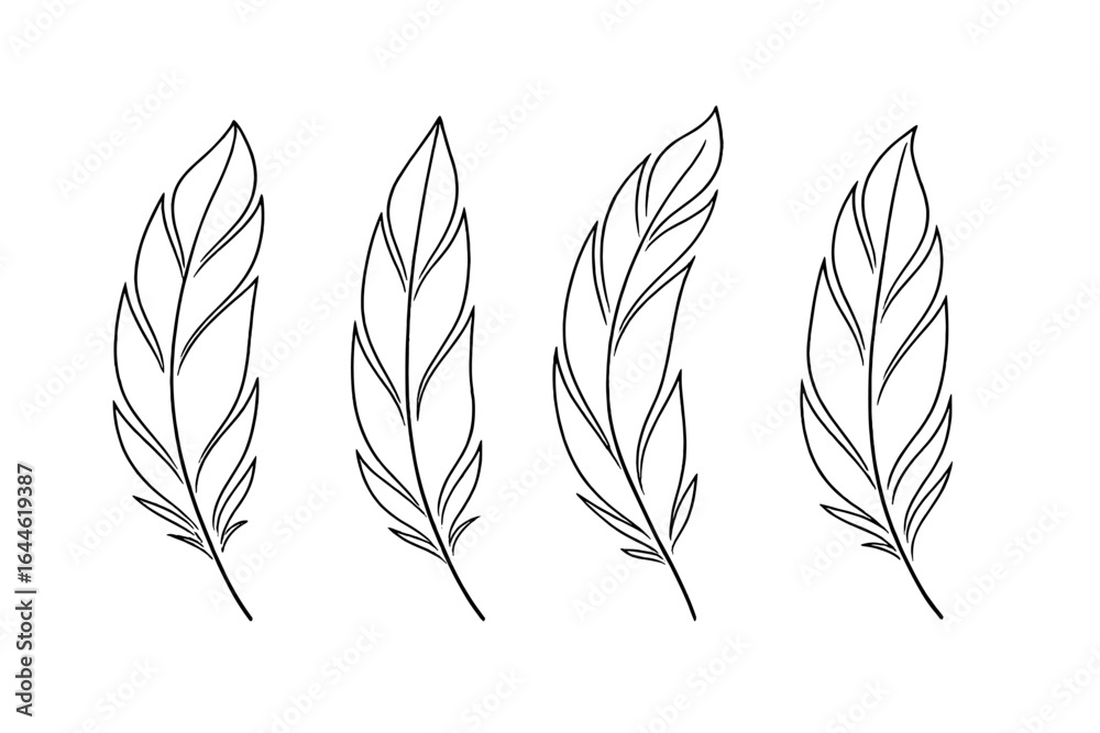 © Janien - Elegant Feather Line Art, Detailed Feather Outlines on White Background, Minimalist Vector Illustration, Transparent Background, Decorative Design Elements © Janien - Elegant Feather Line Art, Detailed Feather Outlines on White Background, Minimalist Vector Illustration, Transparent Background, Decorative Design Elements