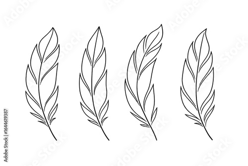 Elegant Feather Line Art, Detailed Feather Outlines on White Background, Minimalist Vector Illustration, Transparent Background, Decorative Design Elements