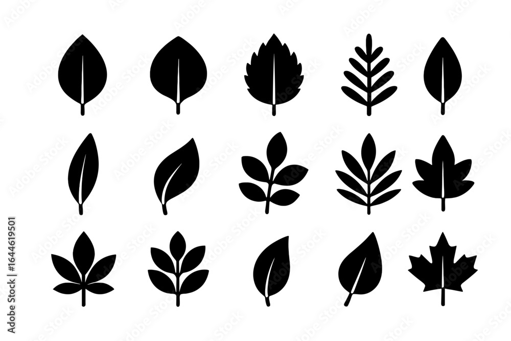 Obraz premium Black leaf icons collection. Vector illustration set of various simple plant and tree foliage silhouettes for eco, bio, organic design. Minimal nature graphic elements.