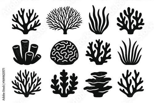 Coral silhouettes vector set. Diverse marine flora and ocean botanical elements. Sea reef shapes, underwater black coral and algae icons for aquatic design. Isolated illustration.
