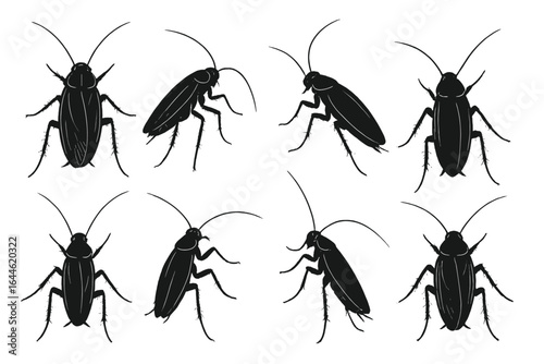 Cockroach silhouettes set. Detailed vector illustrations of roaches in various poses. Pest control and infestation concept. Black insect icons isolated on white background.