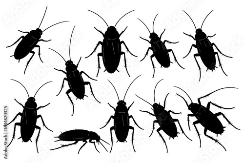 Set of black cockroach silhouettes. Detailed vector illustrations of roaches in various poses. Creepy crawling insect pest collection isolated on white background.