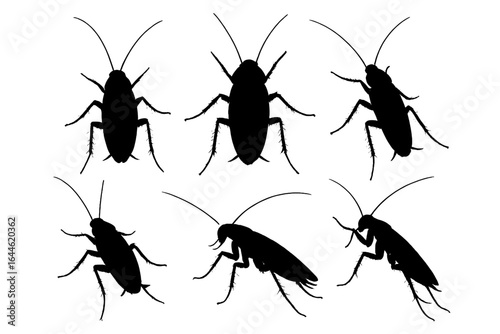 Set of black cockroach silhouettes. Detailed vector art of roaches in various poses. Pest control design element, insect infestation icon. Bug, parasite graphic symbols isolated.