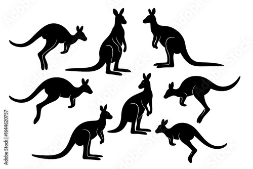 Kangaroo silhouette vector collection. Australian wildlife animal. Set of jumping, standing kangaroos. Black marsupial graphic icons. Australia concept symbol for design elements.