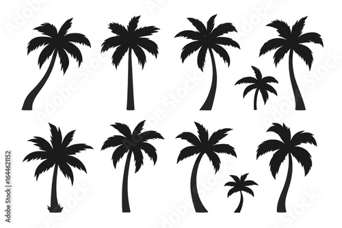 Set of black palm tree silhouettes. Tropical coco palm vector icons for summer vacation design. Exotic island tree collection isolated on white background. Hawaii, travel theme.