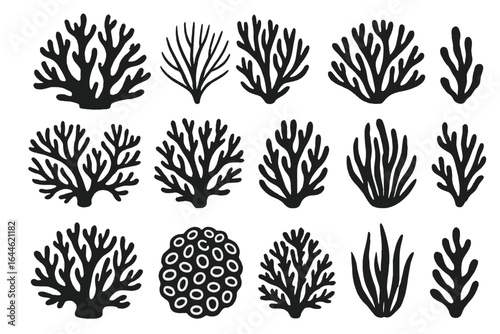 Coral silhouettes set. Marine flora and ocean botanical elements. Diverse coral species and sea reef shapes. Underwater black coral reef vector illustrations collection.