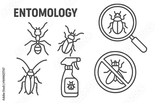 Entomology icon set for pest control. Vector line art. Insect collection with ant, cockroach, beetle, and fly. Includes spray, magnifier, and prohibition sign. Disinfection.