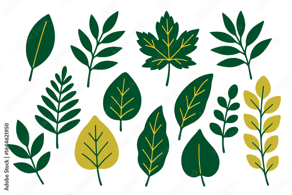 Green and yellow leaf vector set. Botanical illustration collection of various leaf designs. Nature inspired decorative elements for patterns isolated on a white background.