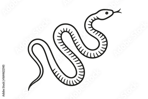 Monochrome snake vector line art illustration. Simple serpent reptile icon, minimalist slithering animal doodle. Black and white crawling design element for tattoo or logo.